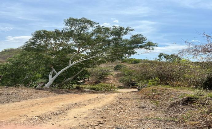 Project Gallery Image