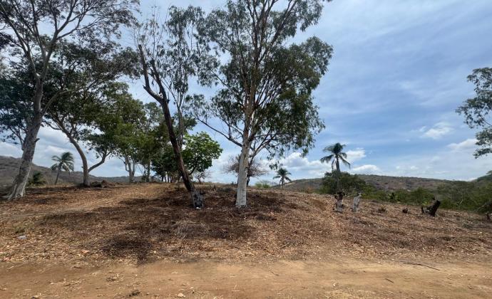 Project Gallery Image