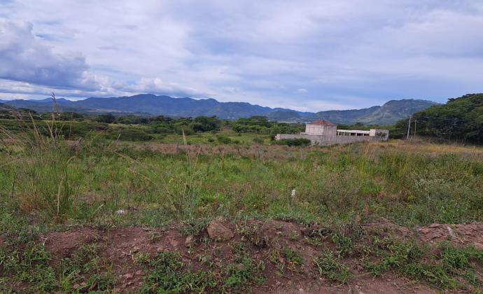 Project Gallery Image