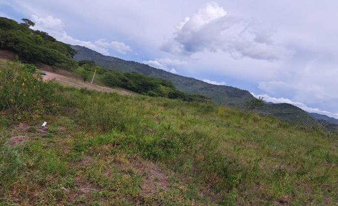 Project Gallery Image